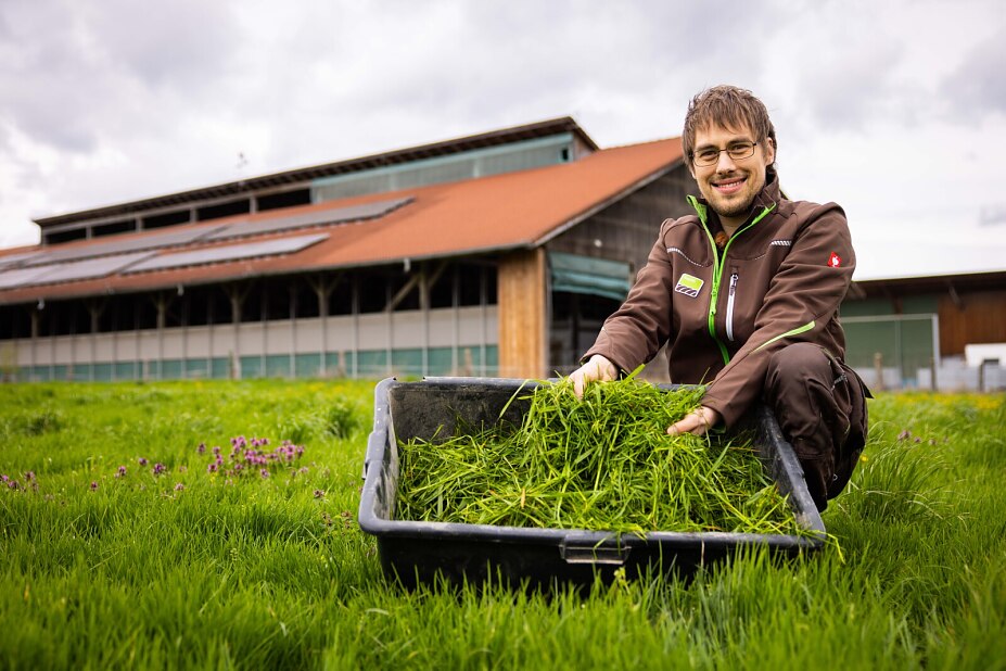 Grünes Gold: Für Marius Götz ist Gras eine wertvolle Ressource