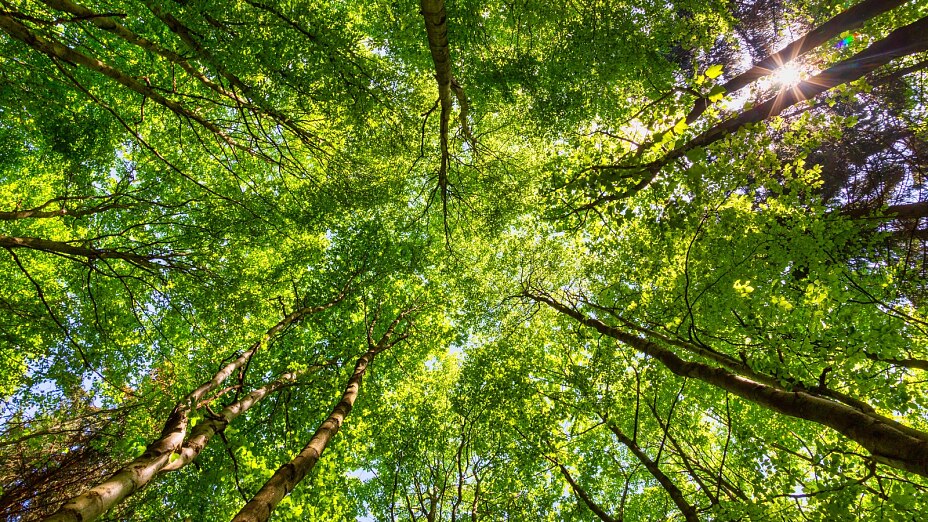 AdobeStock_341829403