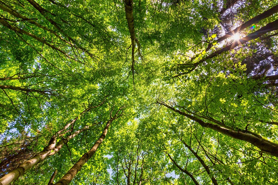 AdobeStock_341829403