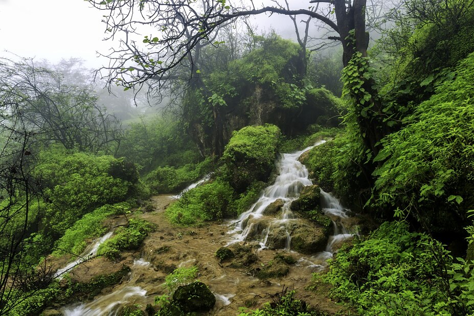 Dhofar, Khareef Season_Copyright Ministry of Heritage & Tourism Sultanate of Oman Dhofar, Khareef Season_Copyright Ministry of Heritage & Tourism Sultanate of Oman