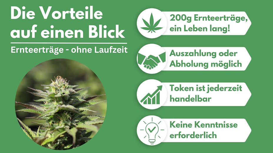 Kinderleicht vom Wachstum des deutschen Cannabismarkts partizipieren Kinderleicht vom Wachstum des deutschen Cannabismarkts partizipieren