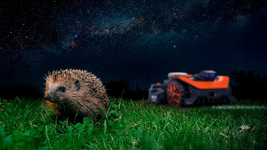 Igel im Gras, im Hintergrund der WORX Landroid Vision Mähroboter mit leuchtend blauen Lichter unter der Milchstraße.