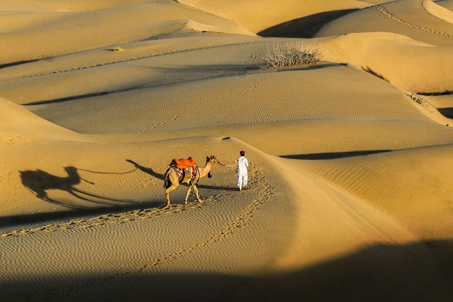 Kamelkarawane mit Reiseführer in den goldenen Sanddünen der Thar-Wüste in Rajasthan bei tief stehender Sonne.