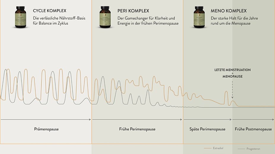 Eine Grafik veranschaulicht den Verlauf der Hormone Estradiol und Progesteron während der Prämenopause, frühen Perimenopause, späten Perimenopause und frühen Postmenopause.