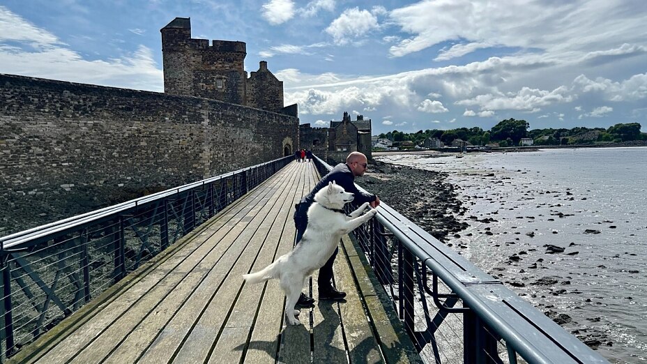Special Dog Trainer Oliver Ehrentraut und sein weißer Husky Kuma posieren auf einer Brücke und blicken aufs Meer.